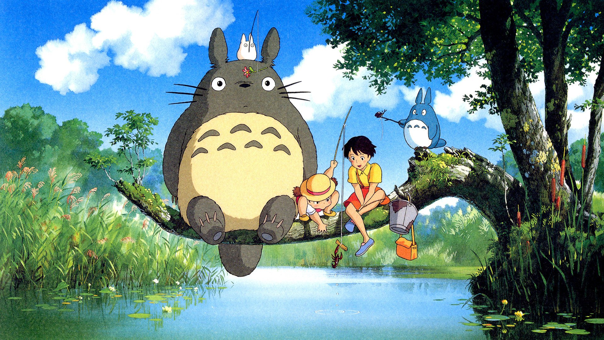 Hang Xom Cua Toi La Totoro My Neighbor Totoro