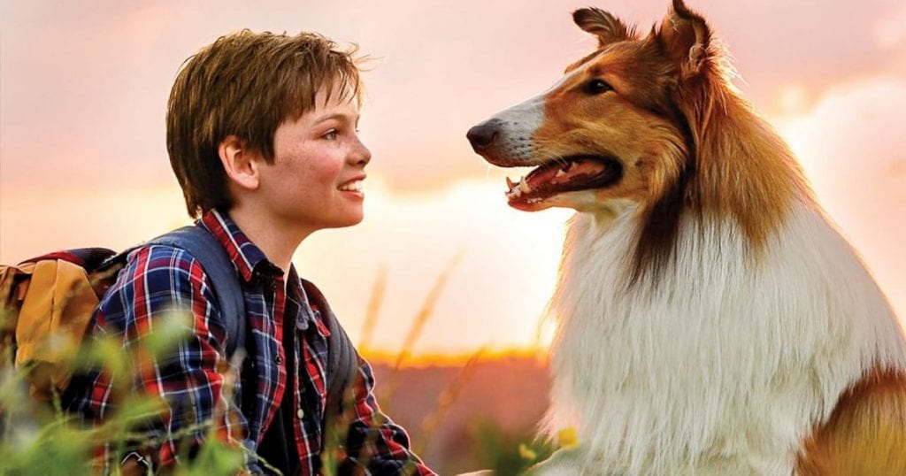 Top 10 bộ phim về chó hay nhất