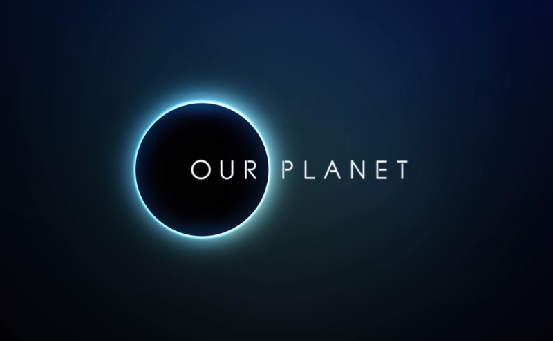 Our Planet Netflix Logo 800X493 1