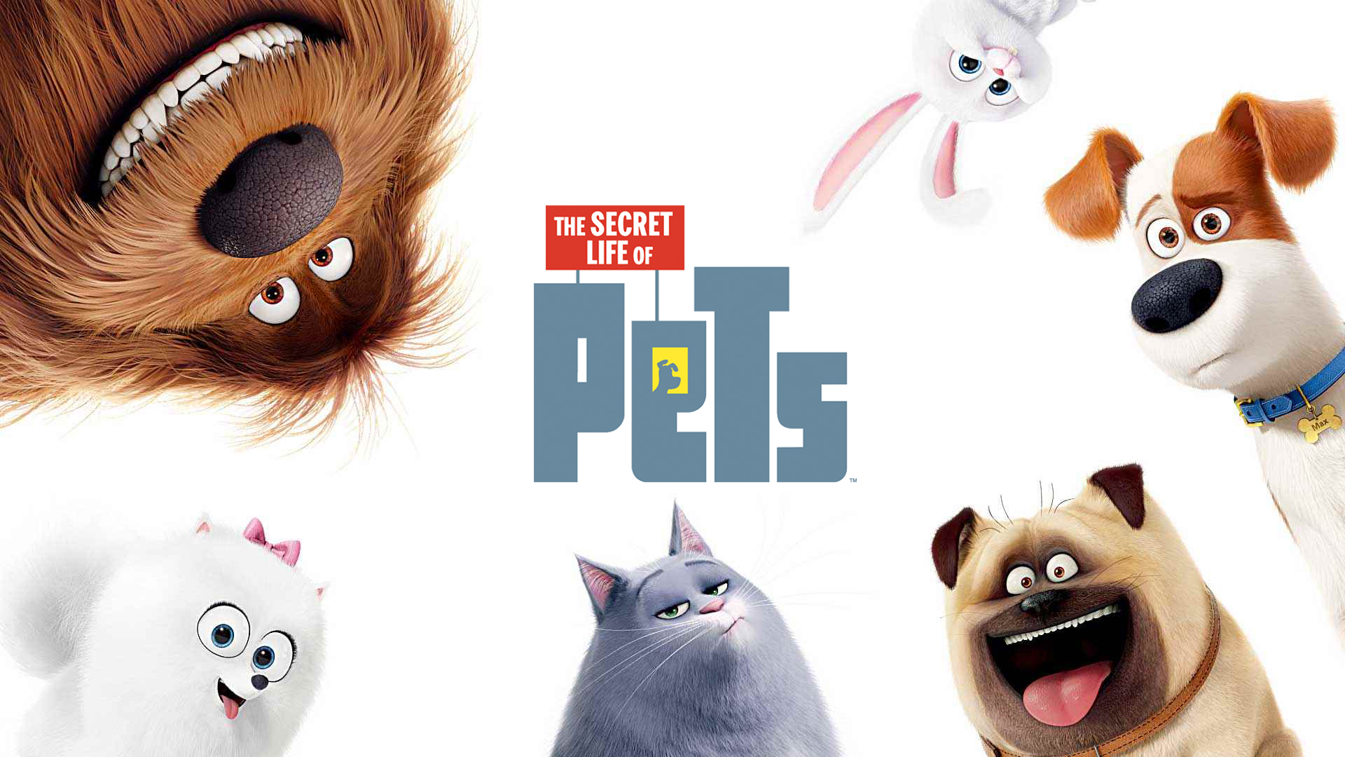 Top 10 bộ phim hoạt hình về động vật hay nhất Thế Giới.