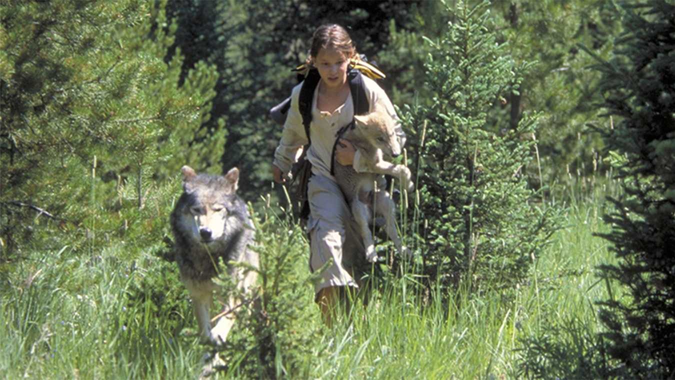 Top 10 phim về người sói hay nhất mọi thời đại
