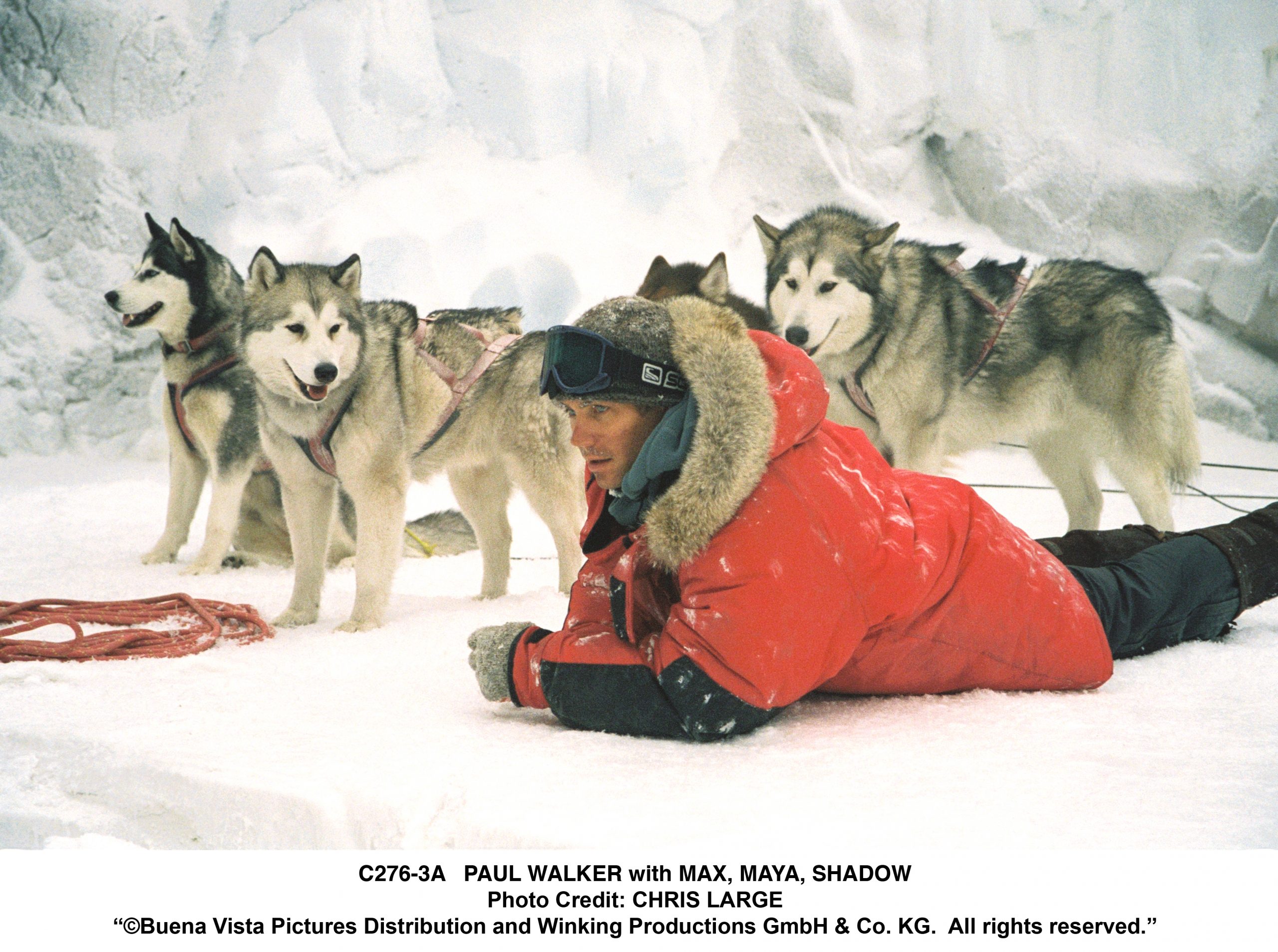 Eight Below Scaled
