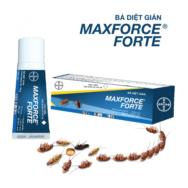 Thuoc Diet Gian Maxforce Forte 657679