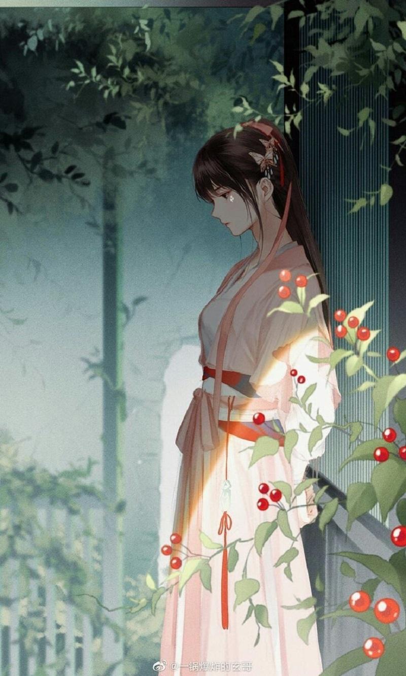 Nửa kiếp hồng trần, một khúc du ca