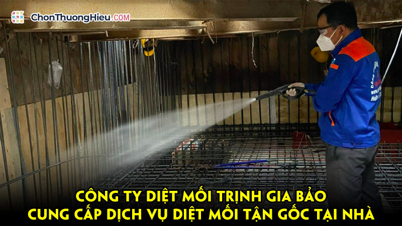 Cong-ty-diet-moi-trinh-gia-bao-cung-cap-dich-vu-diet-moi-tan-goc-tai-nha-chuyen-nghiep-chonthuonghieu