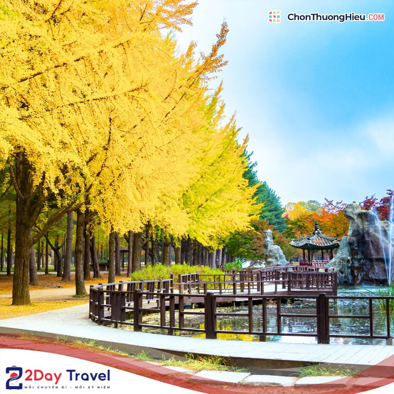 Nang-tam-du-lich-voi-cac-dich-vu-chat-luong-cao-cua-2daytravel-chonthuonghieu