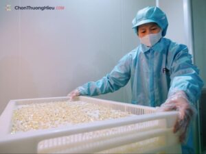 Pineroyalbio-tinh-hoa-tinh-dau-thong-do-han-quoc-chonthuonghieu-1