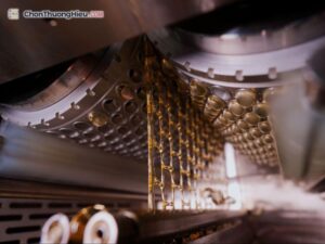 Pineroyalbio-tinh-hoa-tinh-dau-thong-do-han-quoc-chonthuonghieu-3