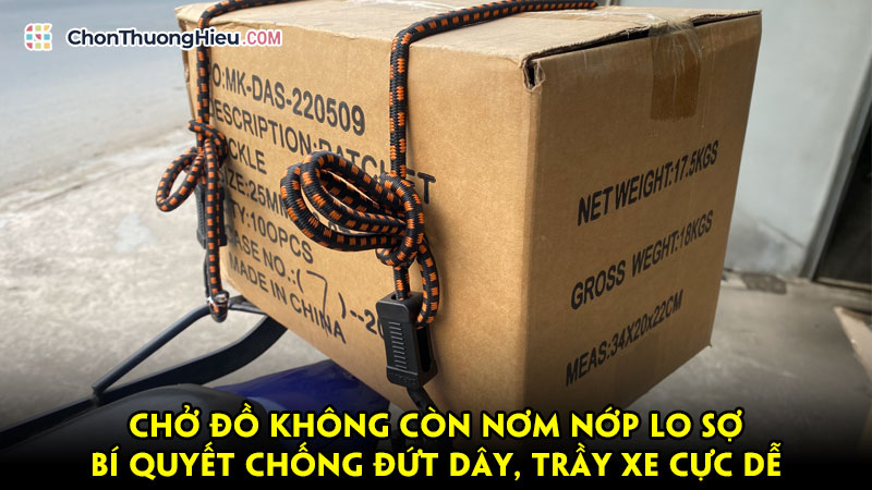 Cho-do-khong-con-nom-nop-lo-so-bi-quyet-chong-dut-day-tray-xe-cuc-de-chonthuonghieu