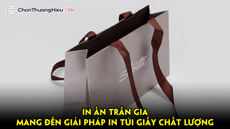 In-an-tran-gia-mang-den-giai-phap-in-tui-giay-chat-luong-chonthuonghieu