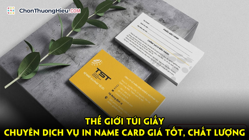 The-gioi-tui-giay-chuyen-dich-vu-in-name-card-gia-tot-chat-luong-chonthuonghieu