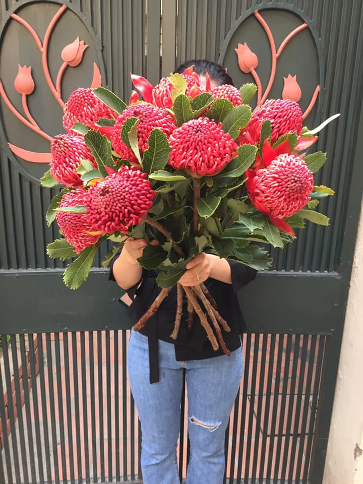 Talia Flower Shop Hà Nội: thông tin, review, đánh giá | Chọn ...