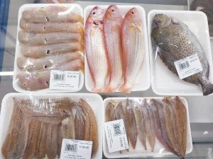 Holand’s Mart Đà Nẵng