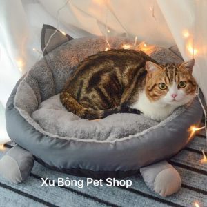 Xu Bông Pet Shop Đà Nẵng
