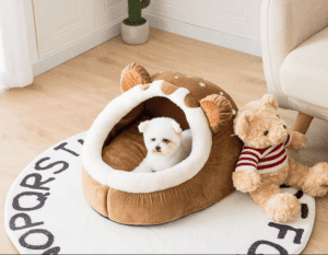 Bobby Pet Đà Nẵng