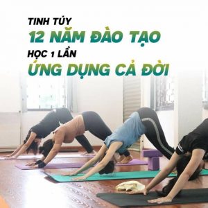 Yoga và Thiền Trái Tim Vàng Q. Phú Nhuận TP HCM