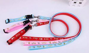 KPETMART - Siêu thị thú cưng Đà Nẵng