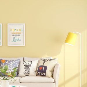 Giấy dán tường Vũ Phát Đạt Quảng Ngãi