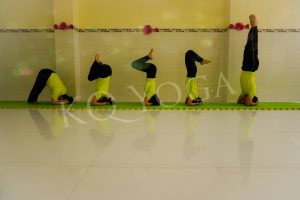 Hatha Yoga 342. Q. Tân Phú TPHCM