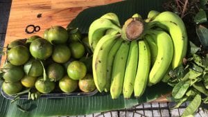 Thực Phẩm Sạch An Nhiên Đà Nẵng