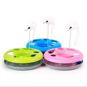 Kool Pet Shop Đà Nẵng