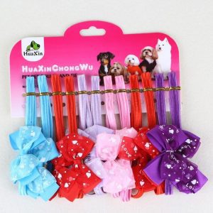 Shop Phụ Kiện Chó Mèo Quang Thịnh Đà Nẵng