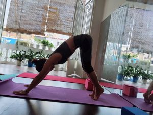 Câu lặc bộ LY Yoga Bình Thạnh TP Hồ Chí Minh
