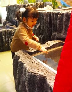 Trường mầm non Thực Nghiệm AMV Hải Phòng