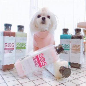 Shop Phụ Kiện Chó Mèo Quang Thịnh Đà Nẵng