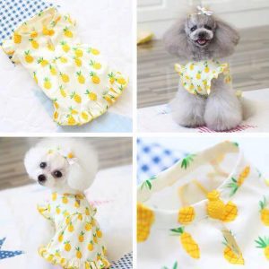 Shop Phụ Kiện Chó Mèo Quang Thịnh Đà Nẵng