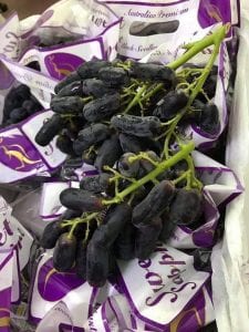 Tí Garden Đà Nẵng