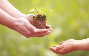 Trường mầm non Winston Kinderworld Hà Nội