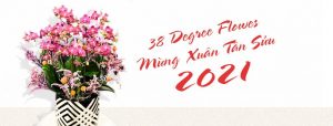 38 Degree Flower Hà Nội