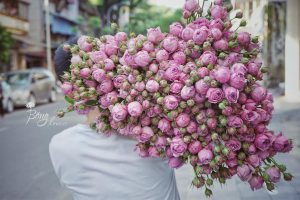 Bông Flowers Hà Nội