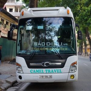 Camel Travel Hà Nội