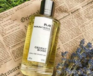 Shop Nước Hoa Uy Tín Đà Nẵng – Authenic