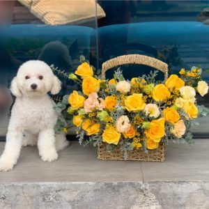 Gigi Flower Hà Nội