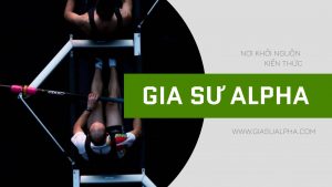 Gia sư Alpha Vũng Tàu
