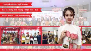 Ngoại ngữ Tomato Hải Phòng