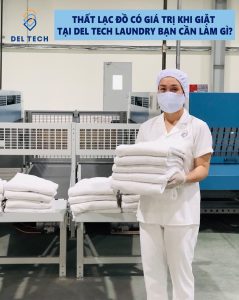 Nhà máy giặt ủi công nghệ cao Del Tech Tp. HCM