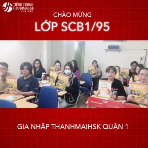 Trung tâm Tiếng Trung Thanhmaihsk Tp. Hồ Chí Minh