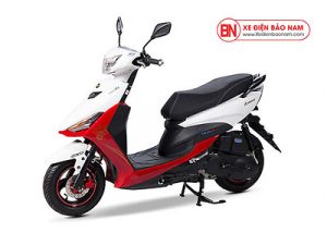 Xe Điện Bảo Nam Tp. Hồ Chí Minh