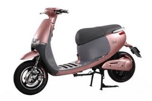 Xe Điện Thuỷ Tùng Nhập Khẩu Chính Hãng Hà Nội