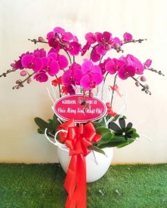 Shop hoa Yêu thương TP.HCM