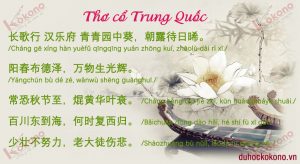 Du Học Kokono Bắc Ninh