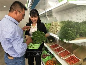 Cửa hàng rau sạch Organic Food TPHCM