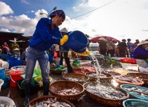 Chợ cá Bến Do Quảng Ninh