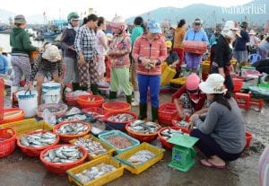 Chợ cá cảng Hạ Long Quảng Ninh