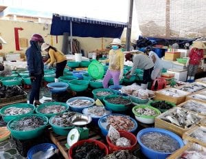 Chợ hải sản ven biển giá rẻ Đà Nẵng