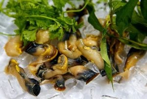 Cửa hàng Hải sản Câu TP. HCM